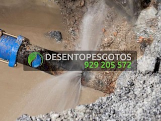 Como Detectar e Reparar Fugas de Água Antes que Se Tornem Emergências